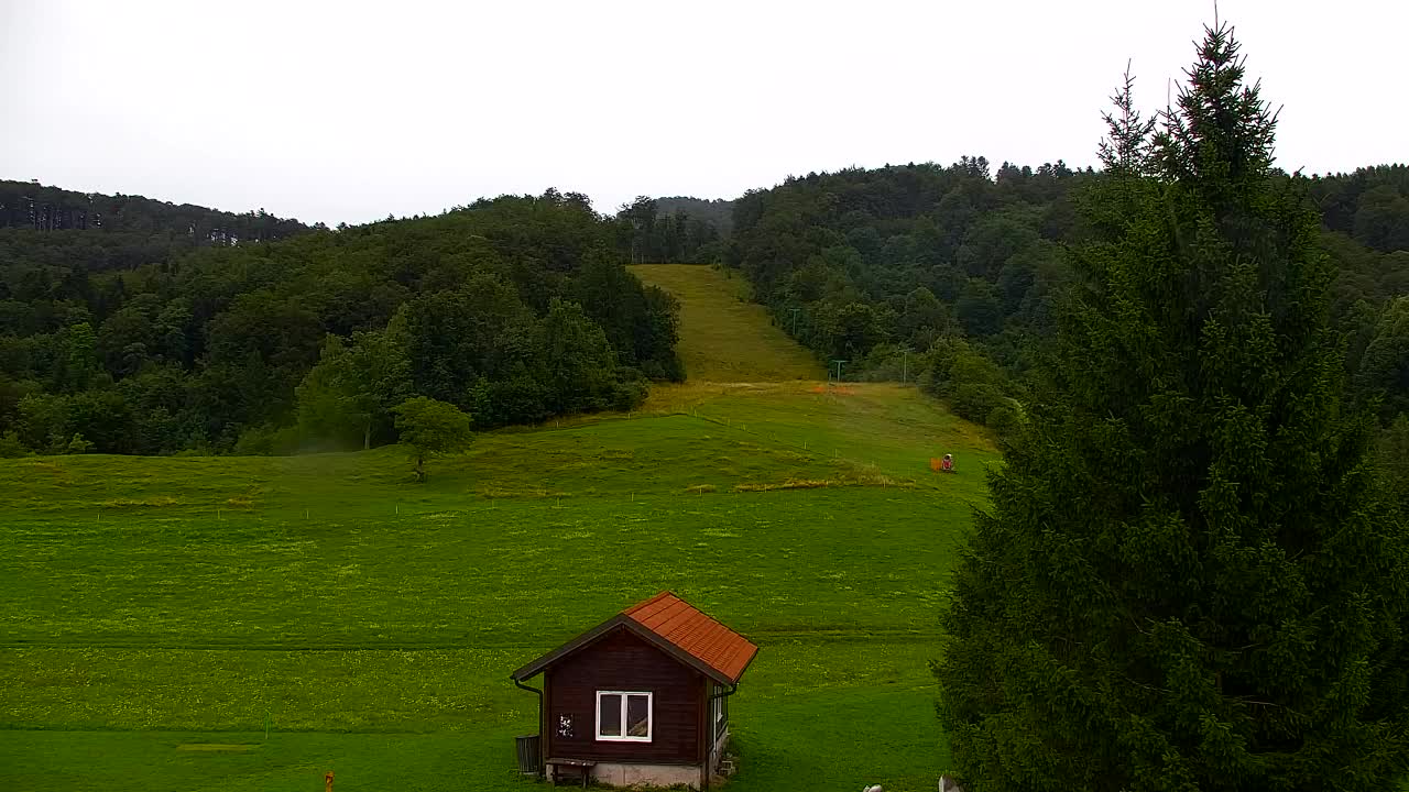Webcam Loqua / Lokve – La bellezza della selva di Tarnova