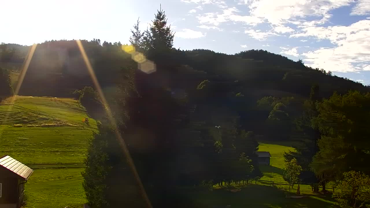 Webcam Lokve – The beauty of the Trnovo forest