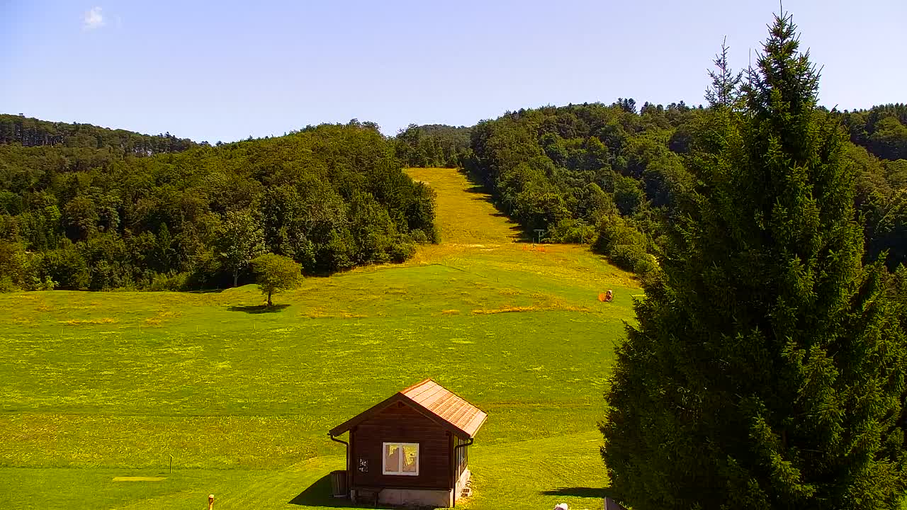 Webcam Lokve – The beauty of the Trnovo forest
