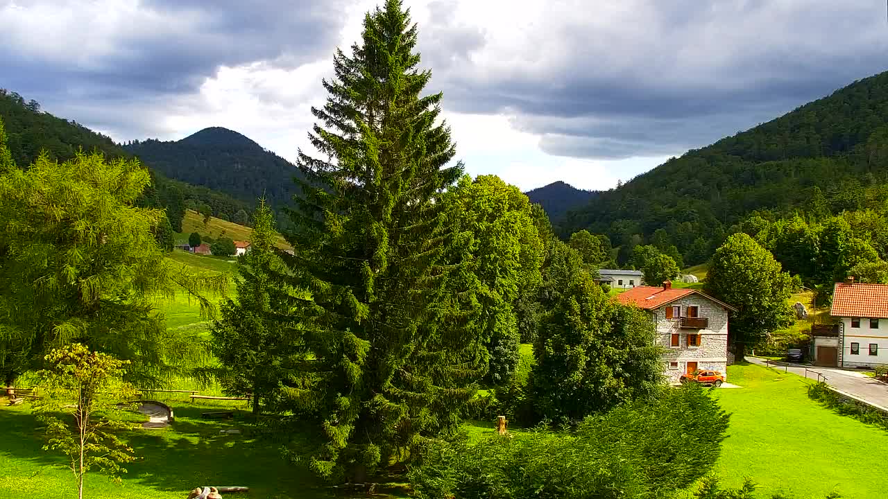 Webcam Lokve – The beauty of the Trnovo forest