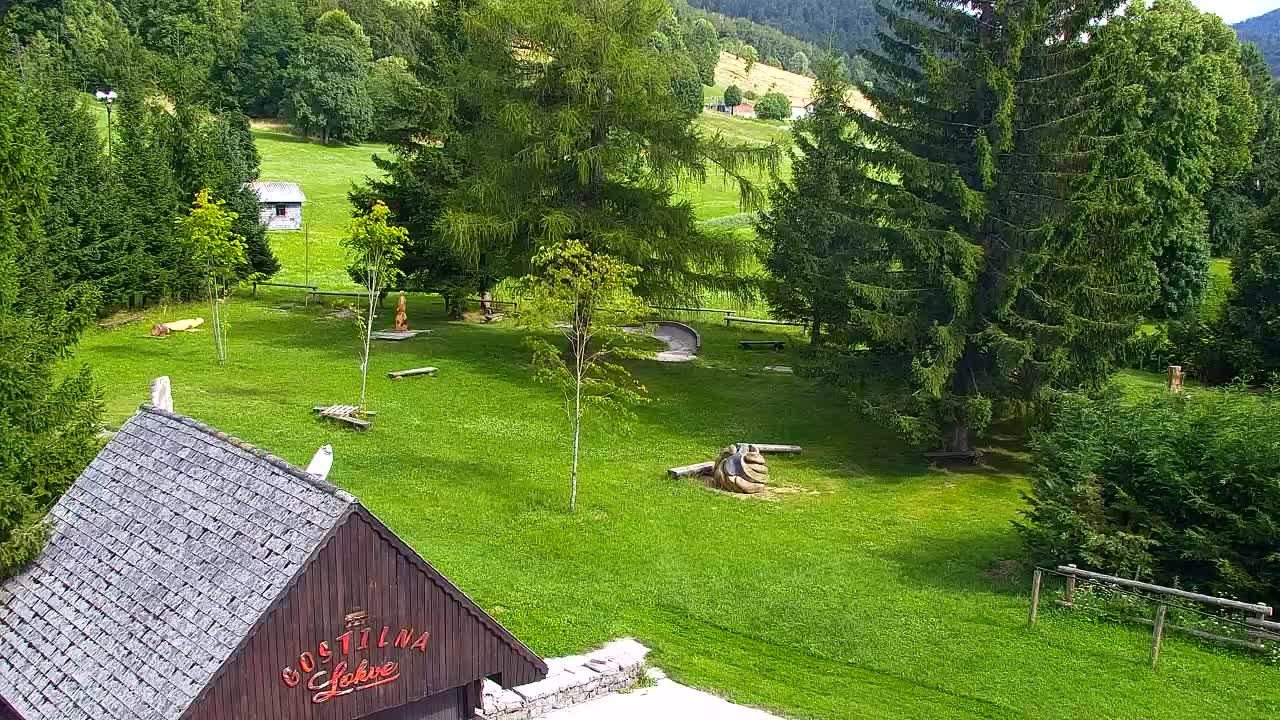 Webcam Lokve – La beauté de la forêt de Trnovo