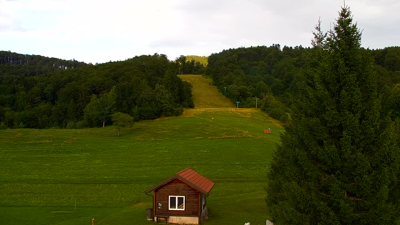 Webcam Lokve – Die Schönheit des Trnovo-Waldes