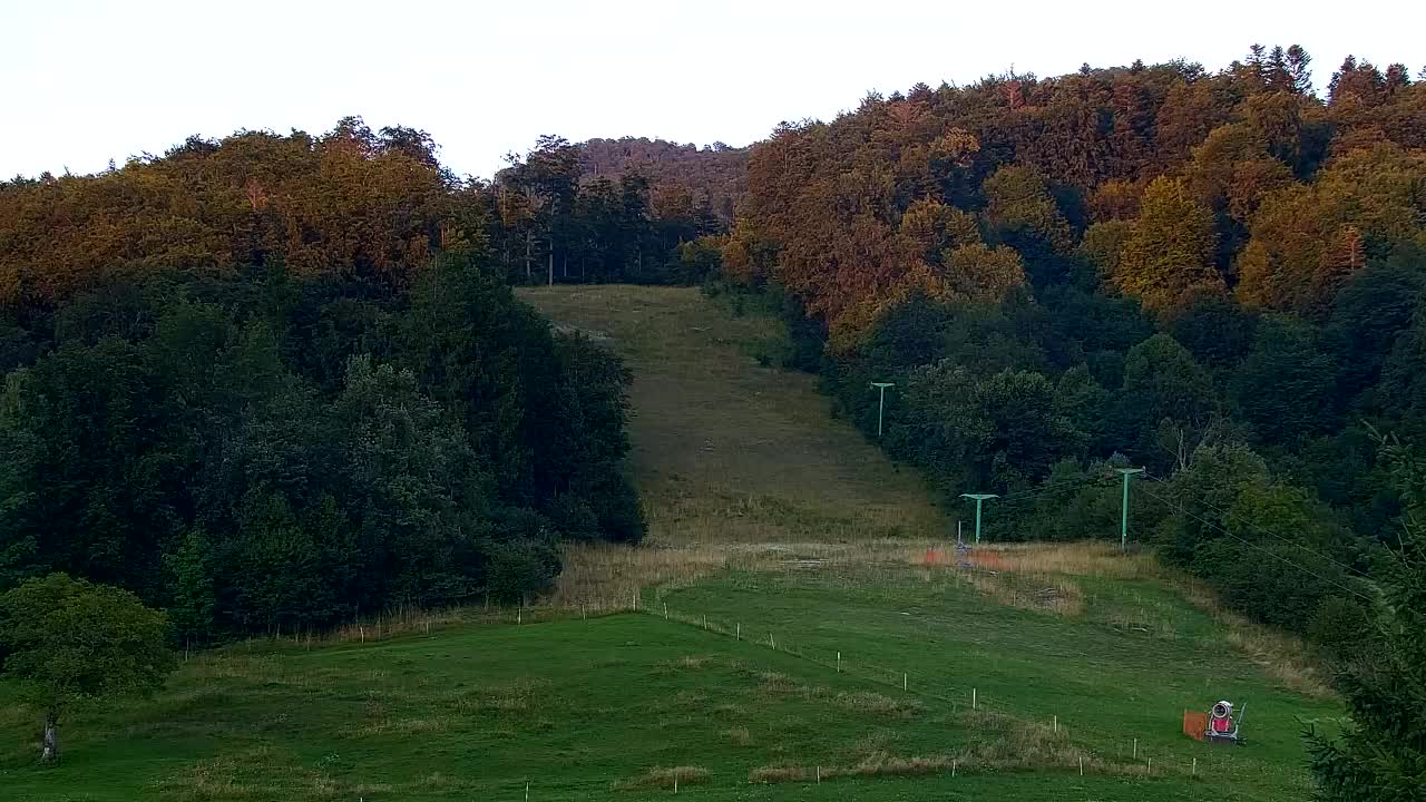 Webcam Loqua / Lokve – La bellezza della selva di Tarnova