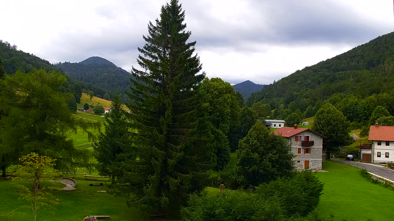 Camera en vivo Lokve – La belleza del bosque de Trnovo