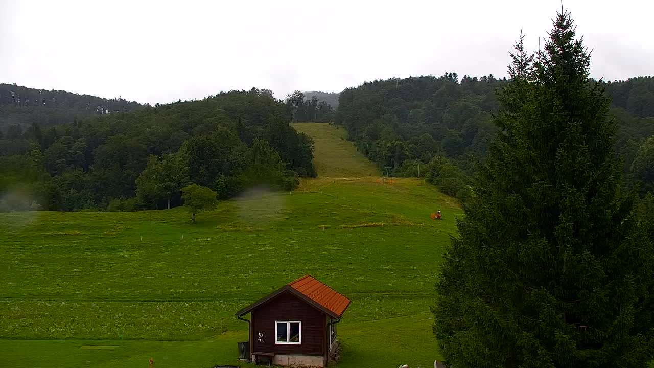 Webcam Lokve – Die Schönheit des Trnovo-Waldes