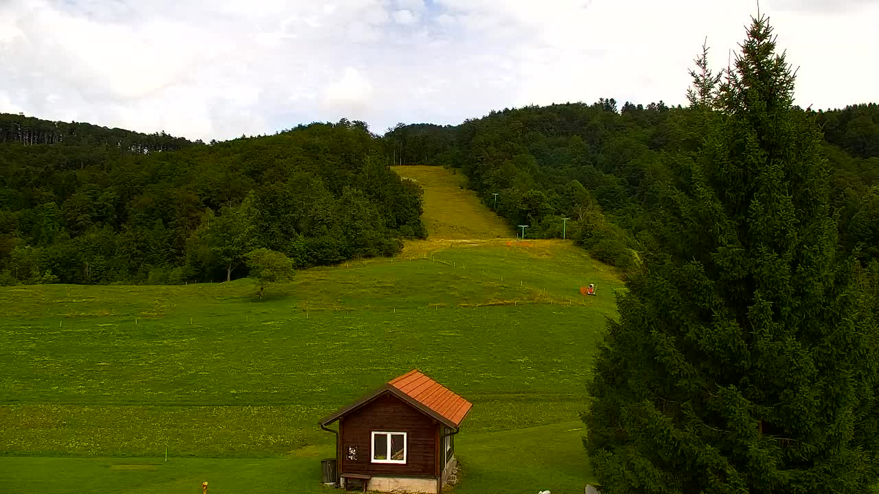 Webcam Lokve – La beauté de la forêt de Trnovo