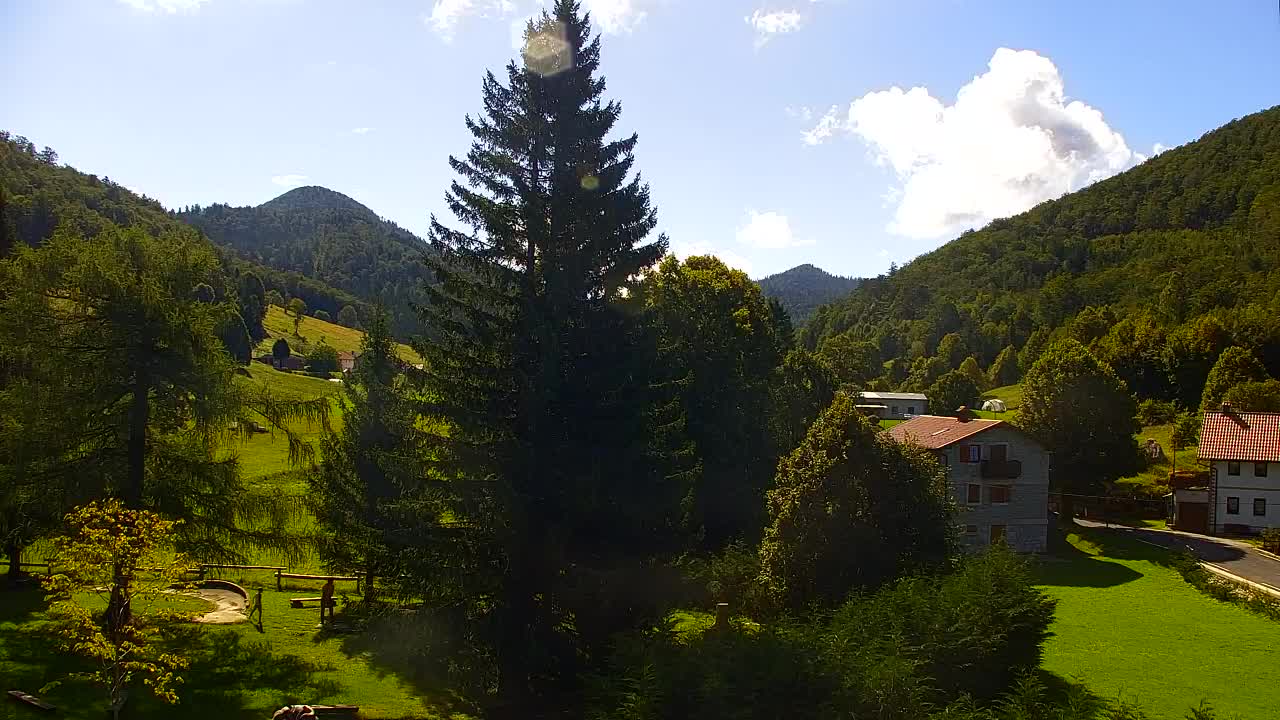 Camera en vivo Lokve – La belleza del bosque de Trnovo