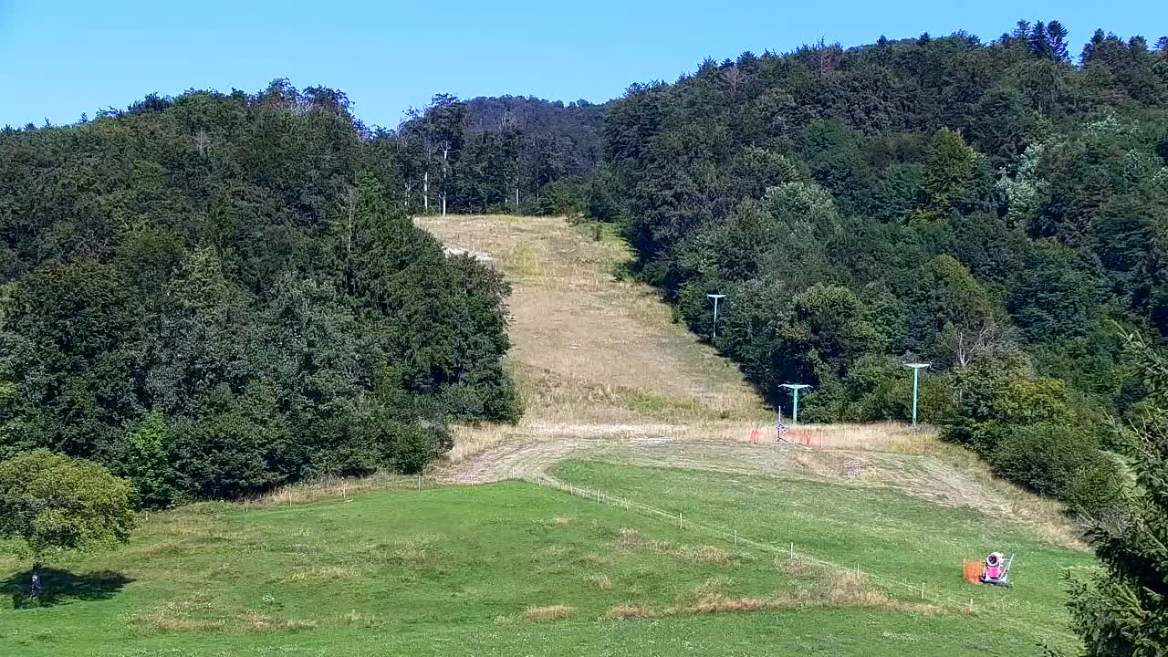 Webcam Lokve – La beauté de la forêt de Trnovo