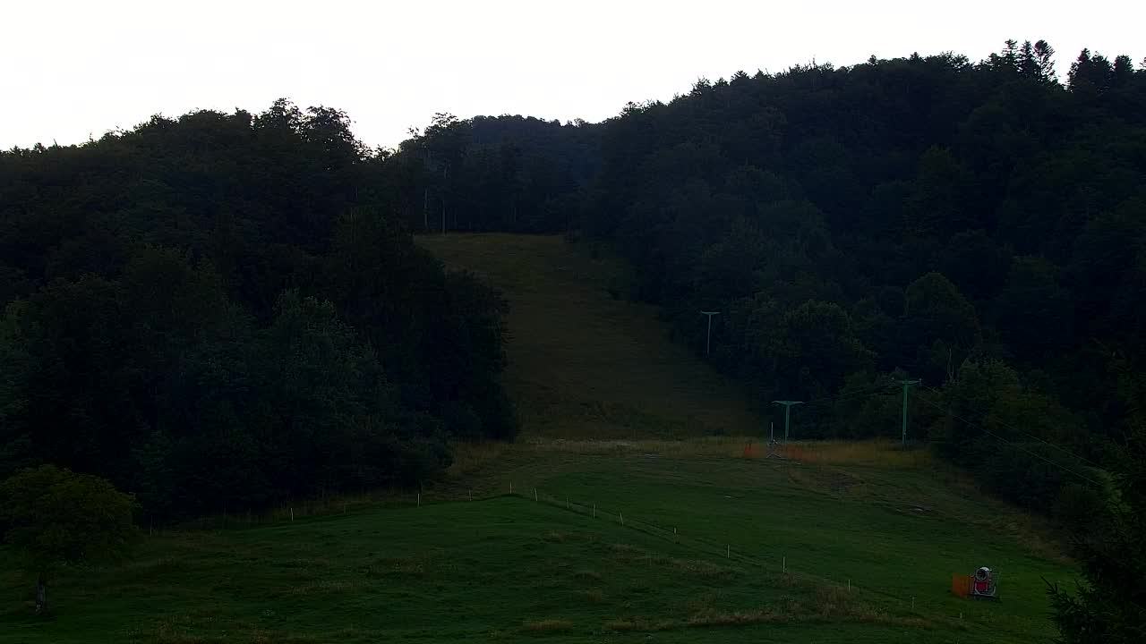 Webcam Loqua / Lokve – La bellezza della selva di Tarnova