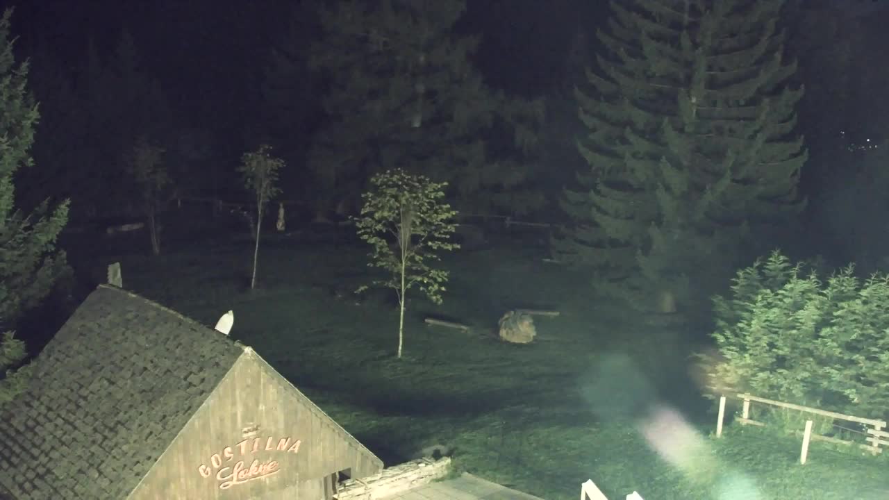 Webcam Lokve – The beauty of the Trnovo forest
