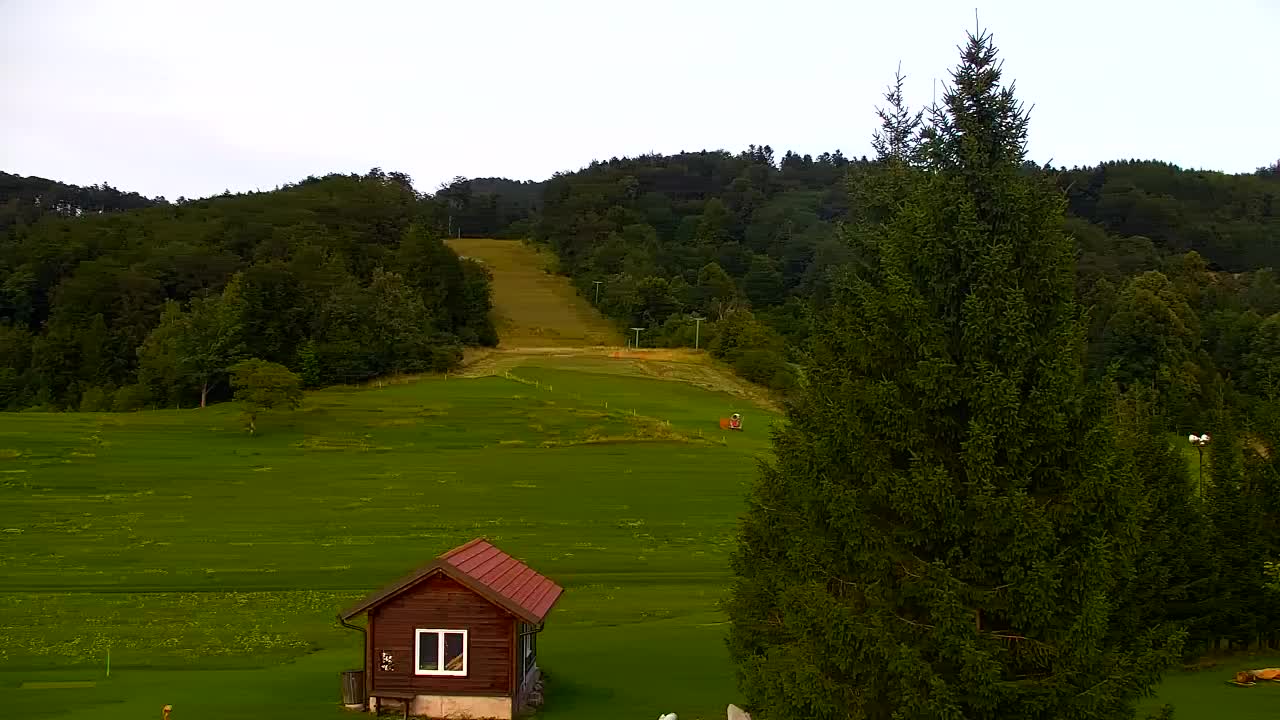 Webcam Lokve – The beauty of the Trnovo forest