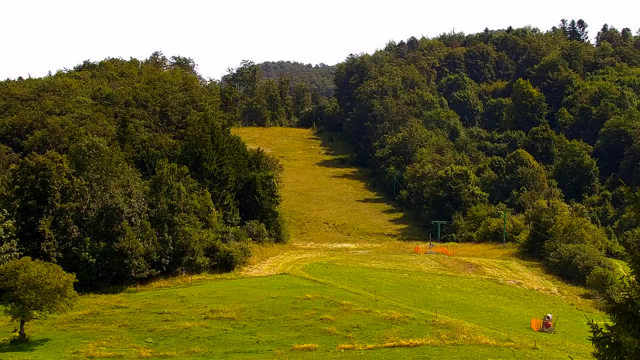 Webcam Lokve – The beauty of the Trnovo forest