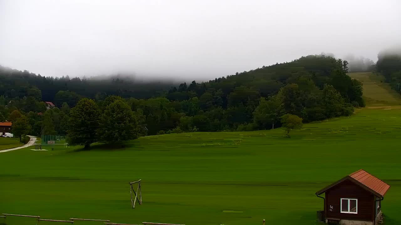 Webcam Loqua / Lokve – La bellezza della selva di Tarnova