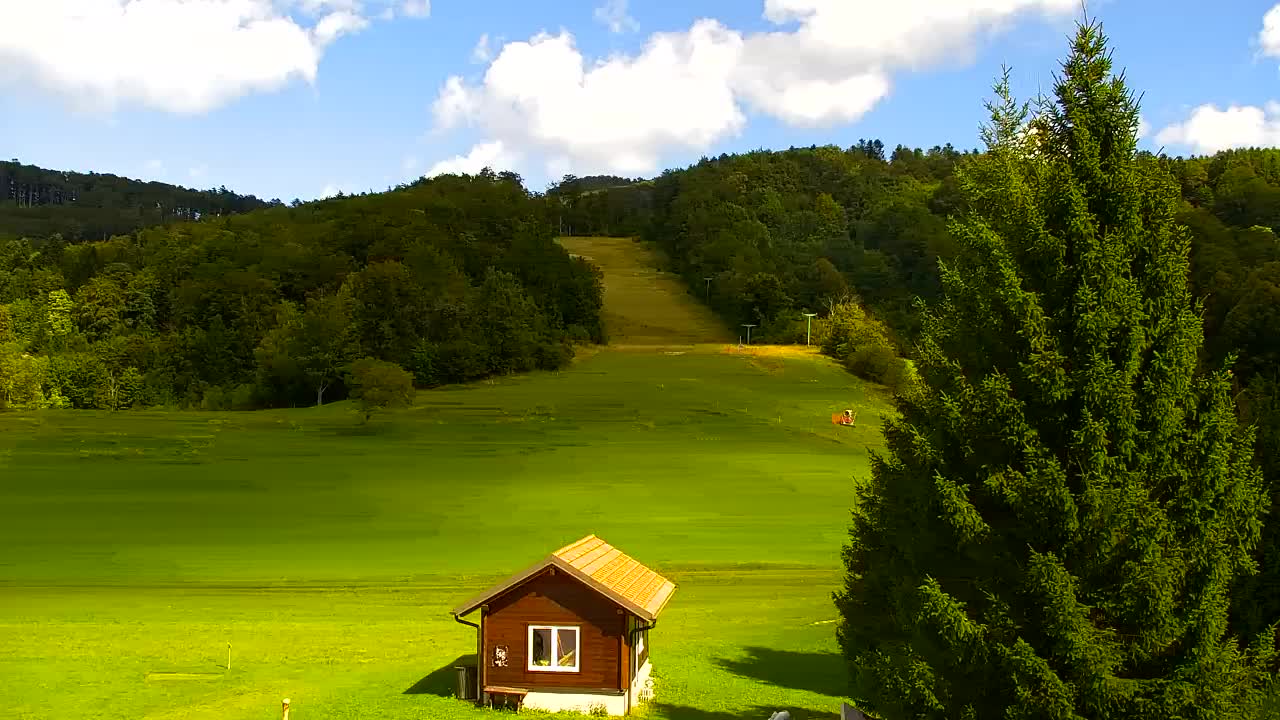 Webcam Lokve – The beauty of the Trnovo forest