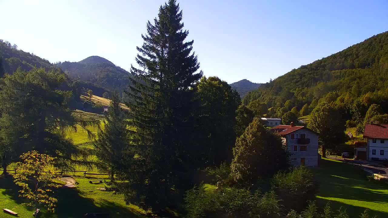 Webcam Lokve – The beauty of the Trnovo forest
