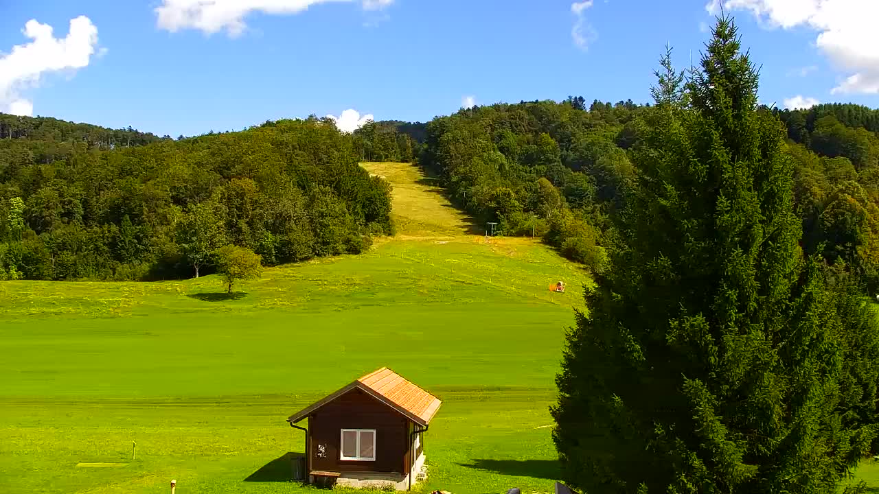 Camera en vivo Lokve – La belleza del bosque de Trnovo