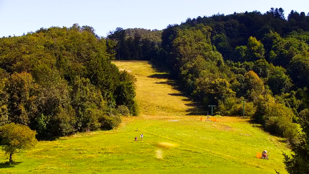 Webcam Loqua / Lokve – La bellezza della selva di Tarnova