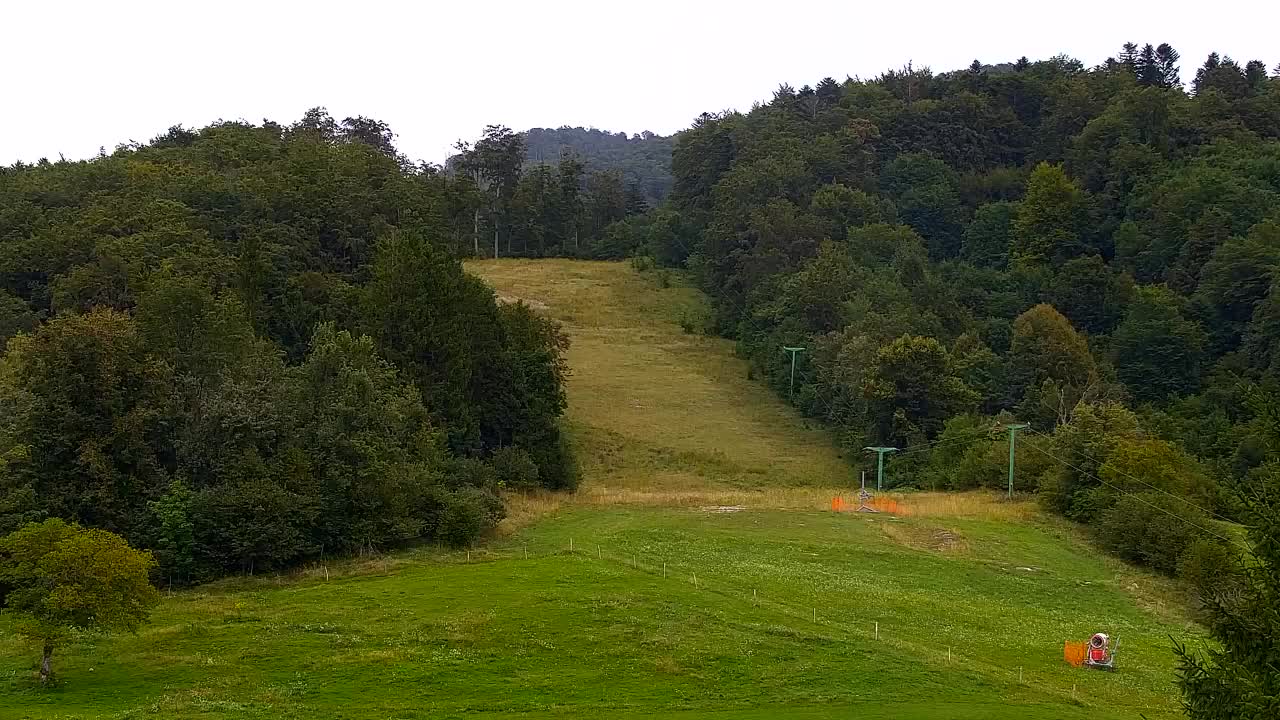 Webcam Lokve – La beauté de la forêt de Trnovo