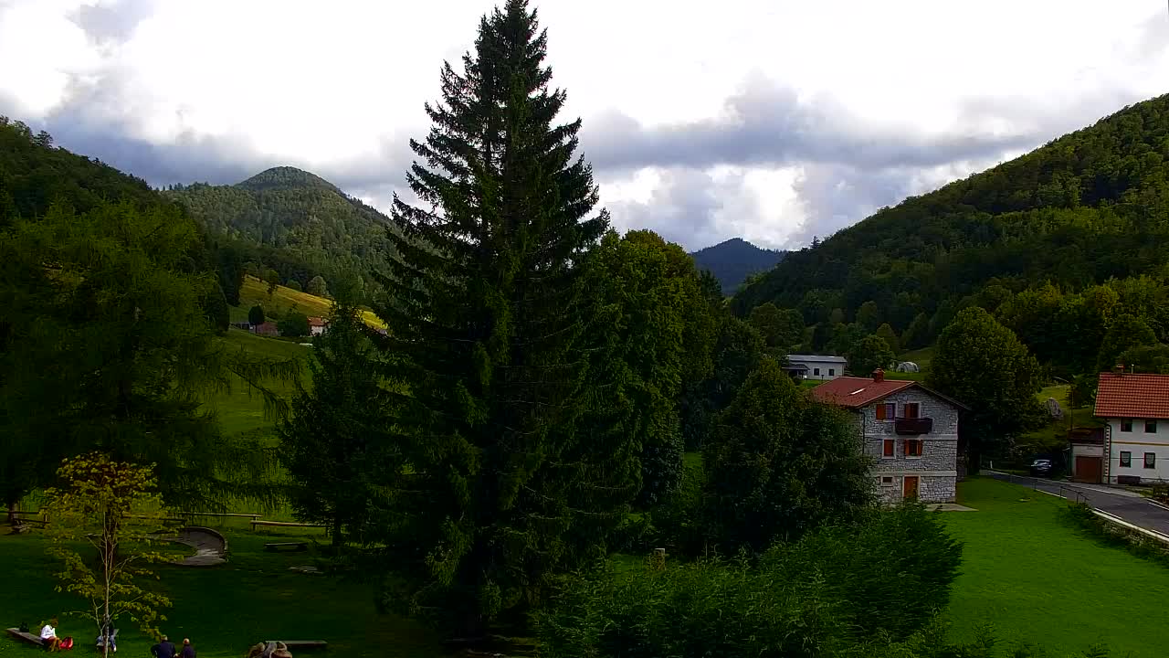 Webcam Lokve – The beauty of the Trnovo forest
