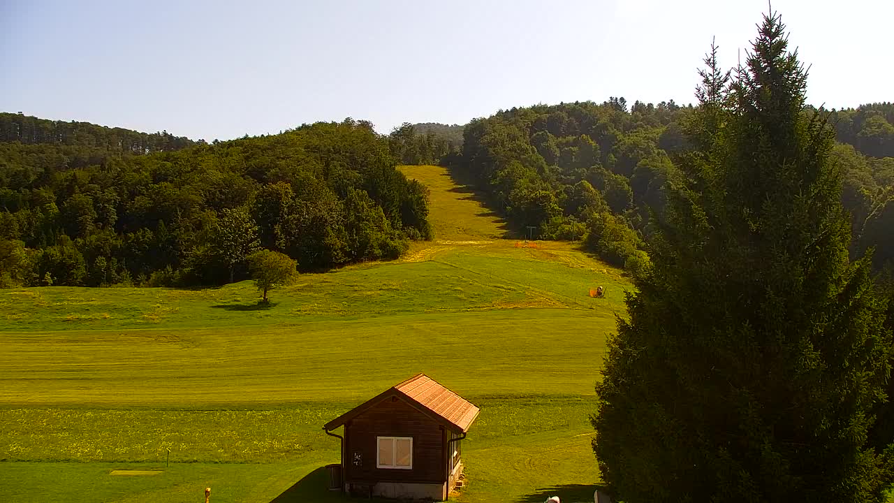 Webcam Loqua / Lokve – La bellezza della selva di Tarnova