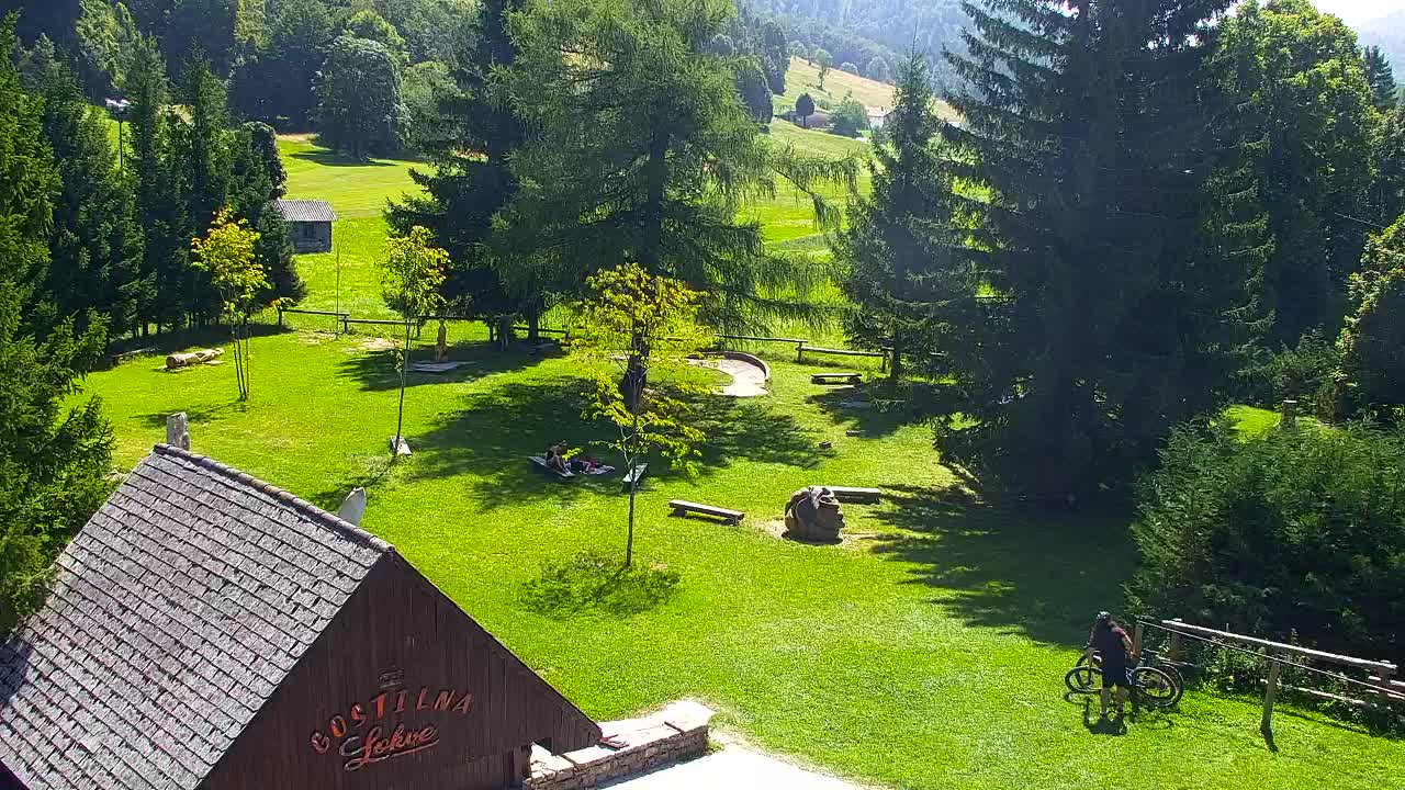 Webcam Loqua / Lokve – La bellezza della selva di Tarnova