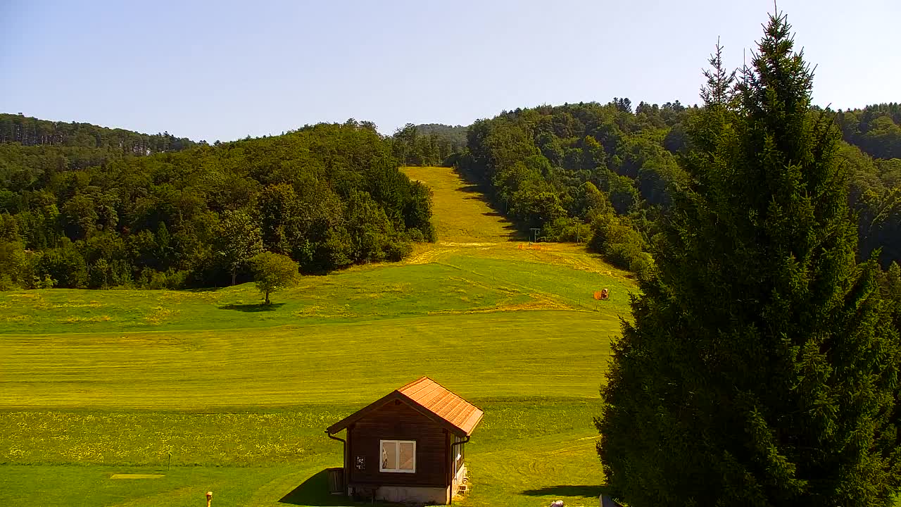 Webcam Lokve – Die Schönheit des Trnovo-Waldes