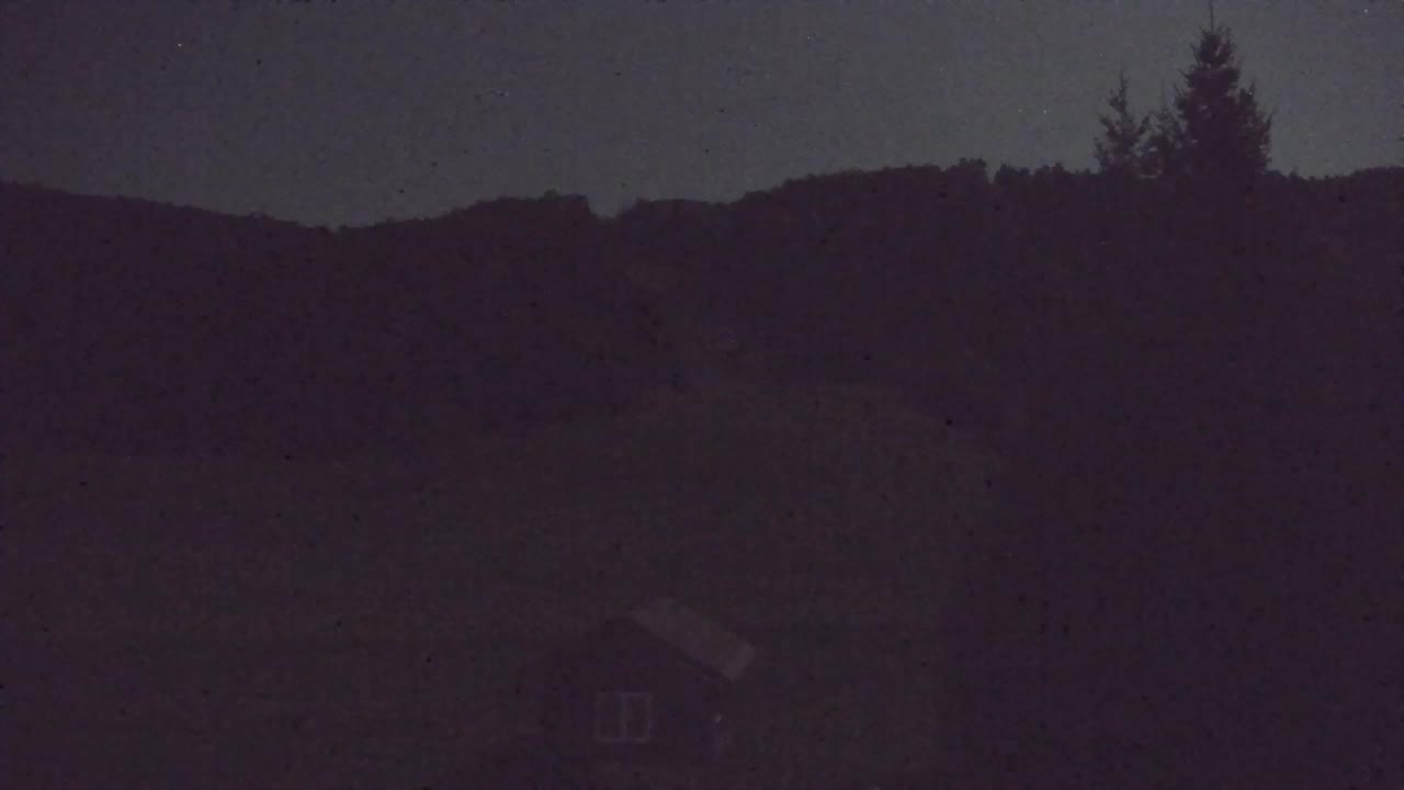Webcam Lokve – La beauté de la forêt de Trnovo