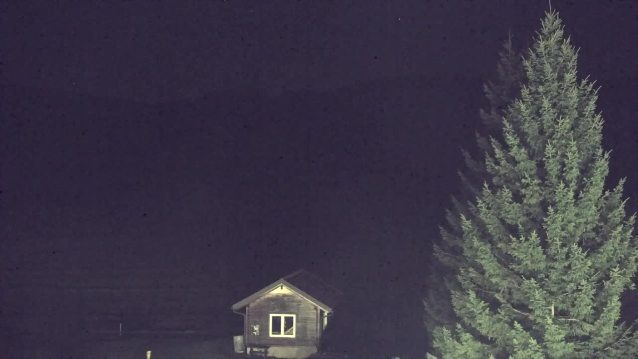Webcam Lokve – La beauté de la forêt de Trnovo