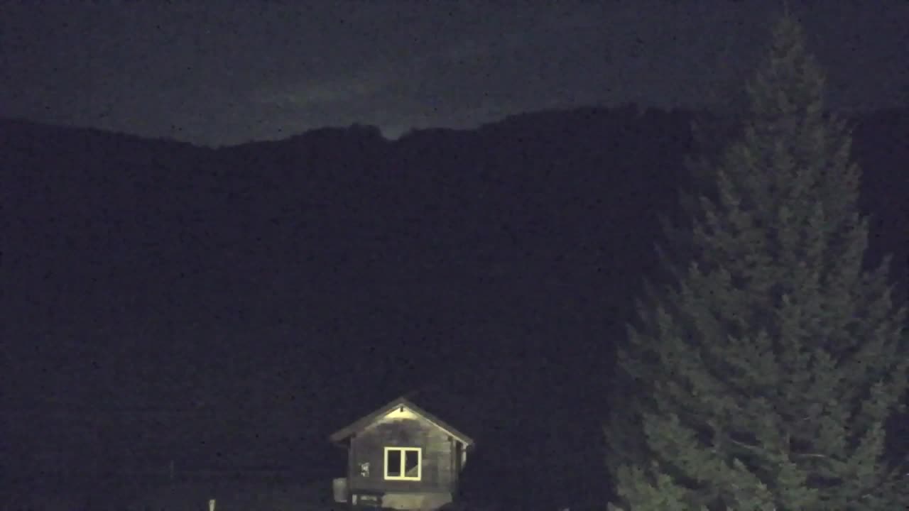 Webcam Lokve – La beauté de la forêt de Trnovo