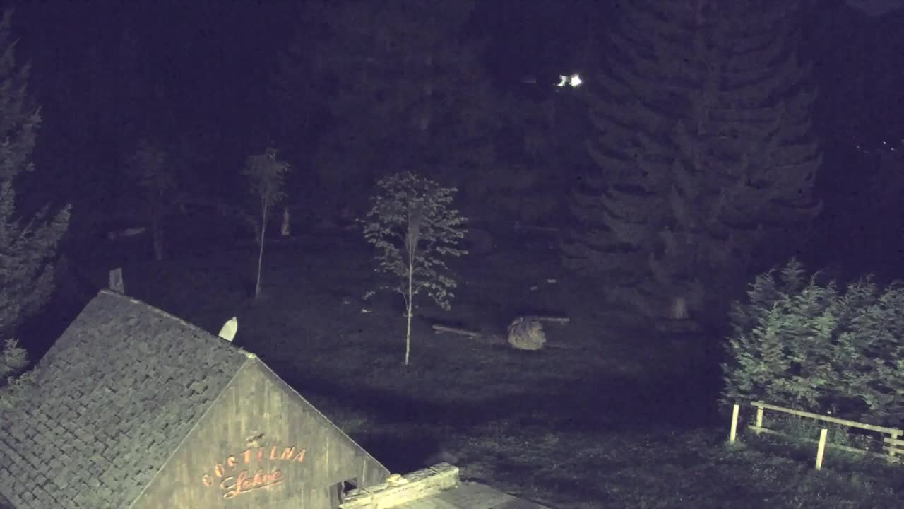 Camera en vivo Lokve – La belleza del bosque de Trnovo