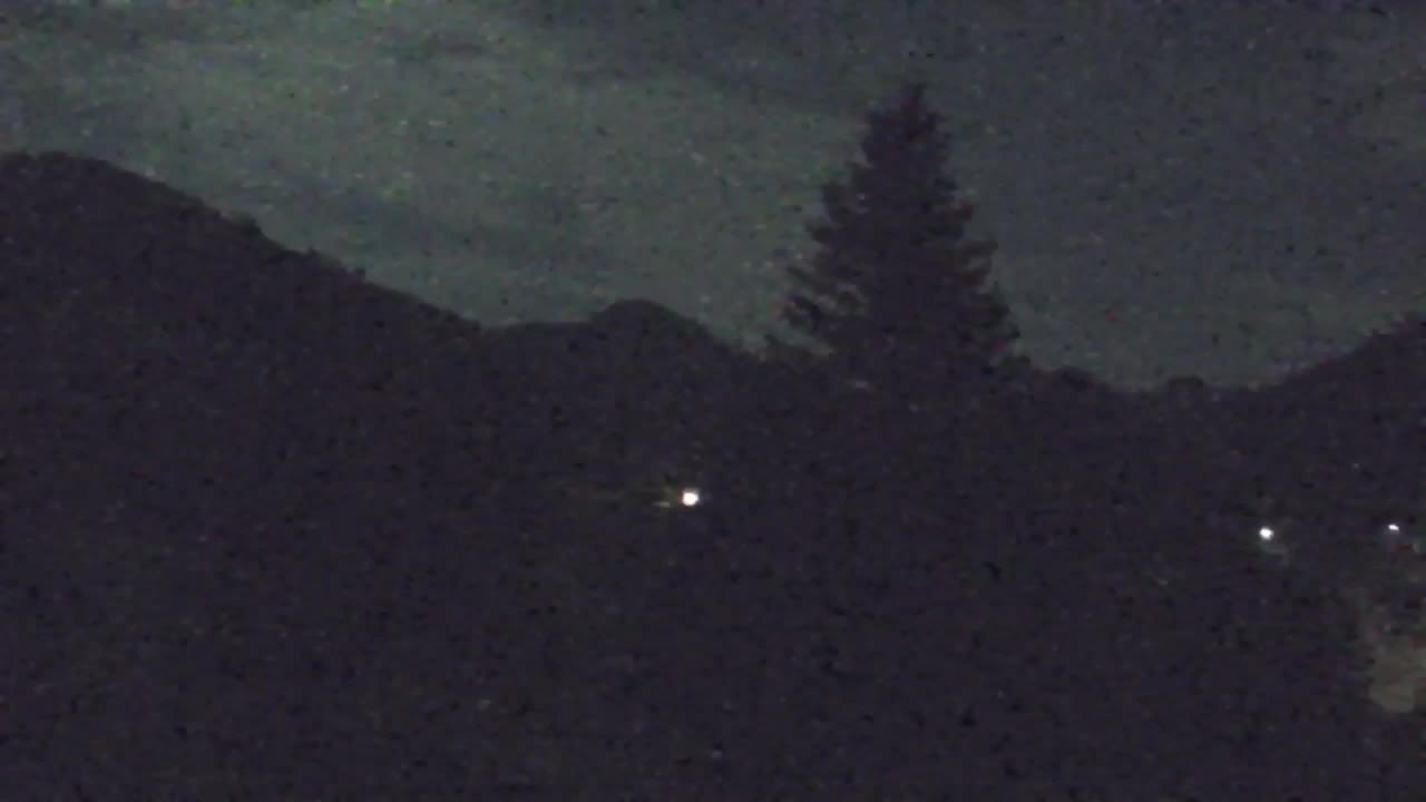 Webcam Lokve – La beauté de la forêt de Trnovo