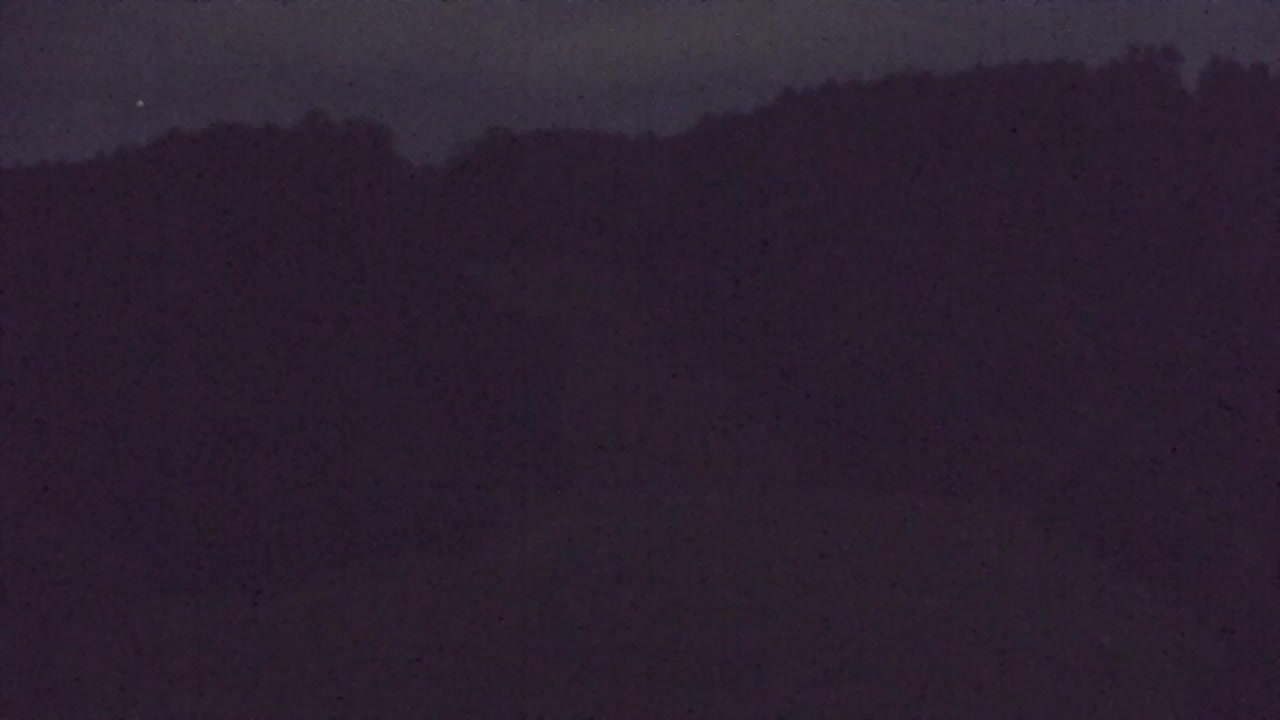 Camera en vivo Lokve – La belleza del bosque de Trnovo