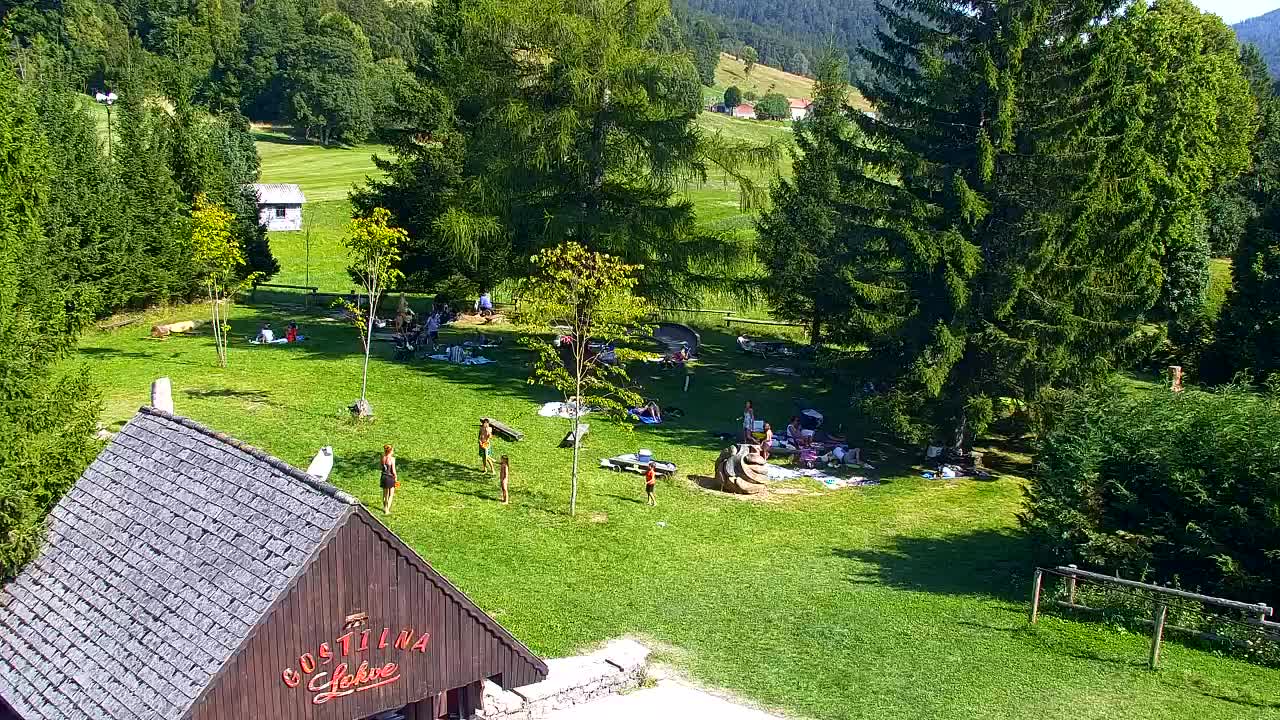 Webcam Lokve – La beauté de la forêt de Trnovo