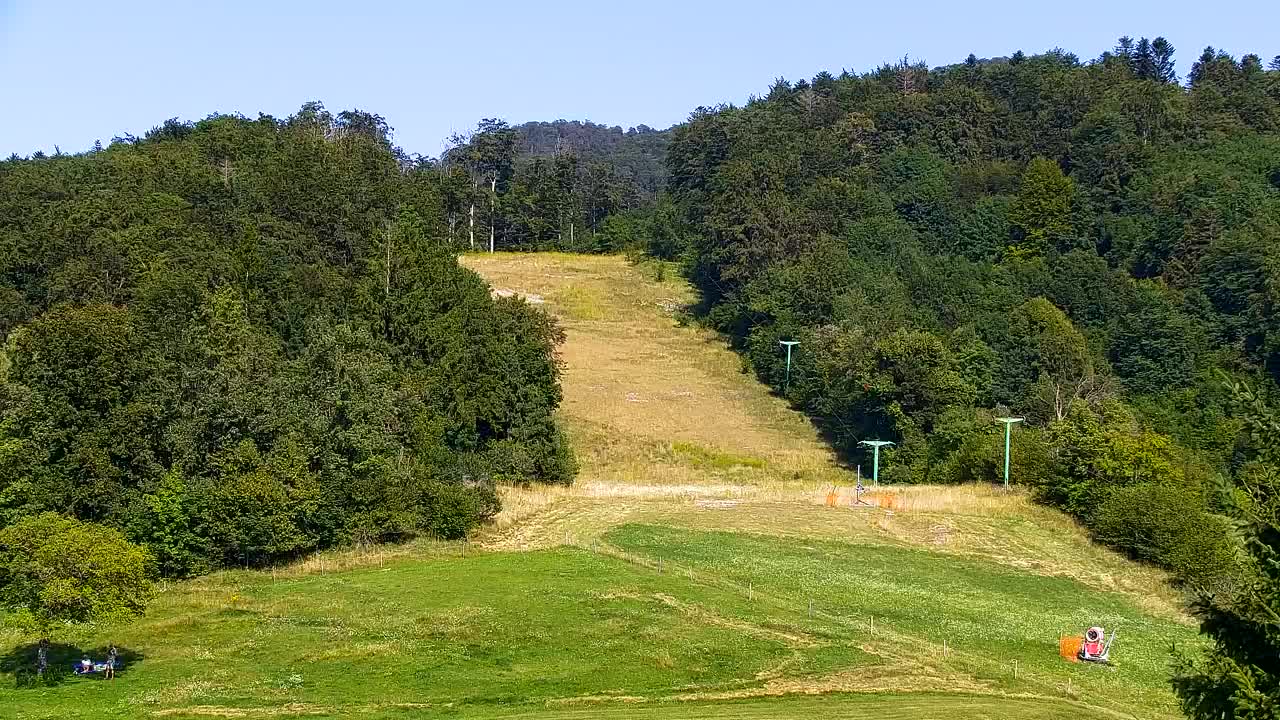 Webcam Lokve – La beauté de la forêt de Trnovo