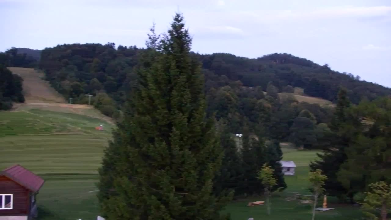Webcam Lokve – La beauté de la forêt de Trnovo