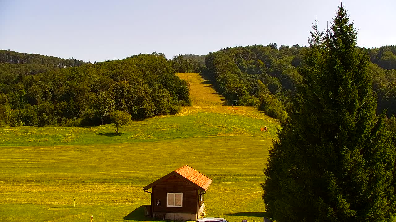 Webcam Lokve – Die Schönheit des Trnovo-Waldes