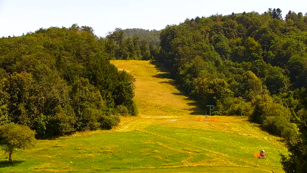 Webcam Loqua / Lokve – La bellezza della selva di Tarnova
