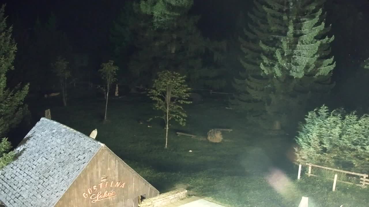 Webcam Lokve – La beauté de la forêt de Trnovo