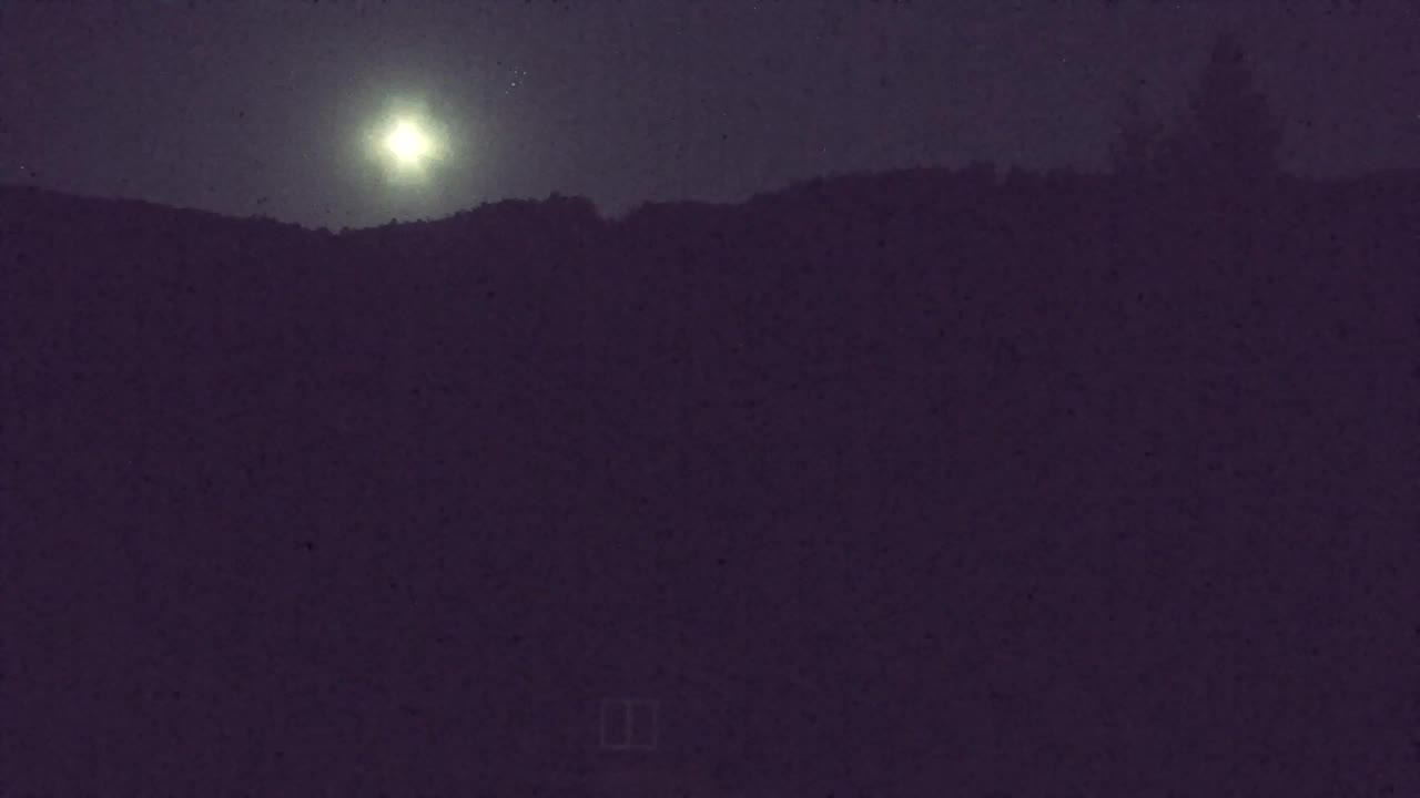 Webcam Lokve – La beauté de la forêt de Trnovo