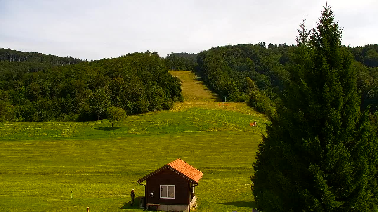 Webcam Lokve – La beauté de la forêt de Trnovo