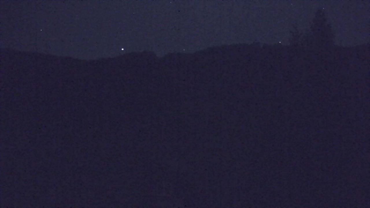 Webcam Loqua / Lokve – La bellezza della selva di Tarnova