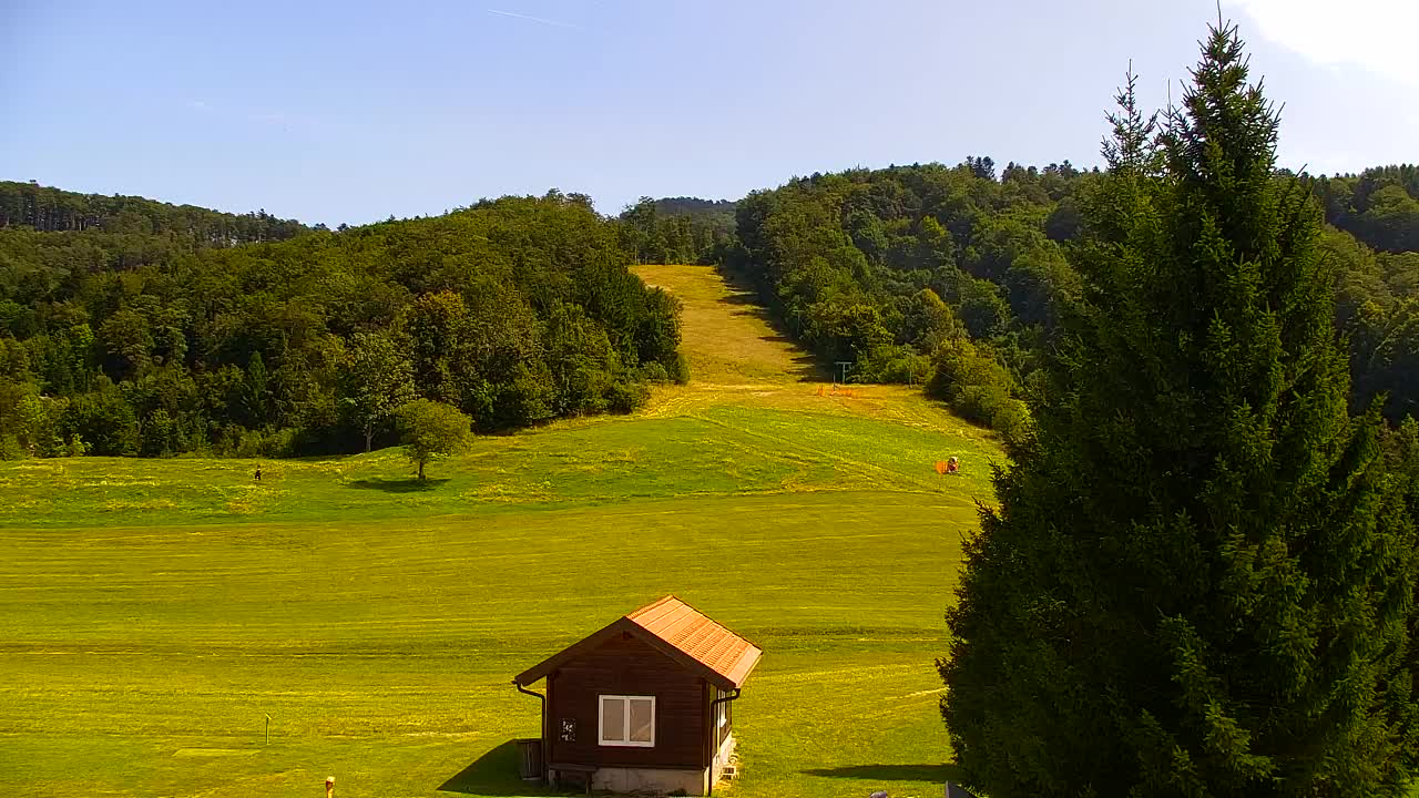 Webcam Lokve – Die Schönheit des Trnovo-Waldes