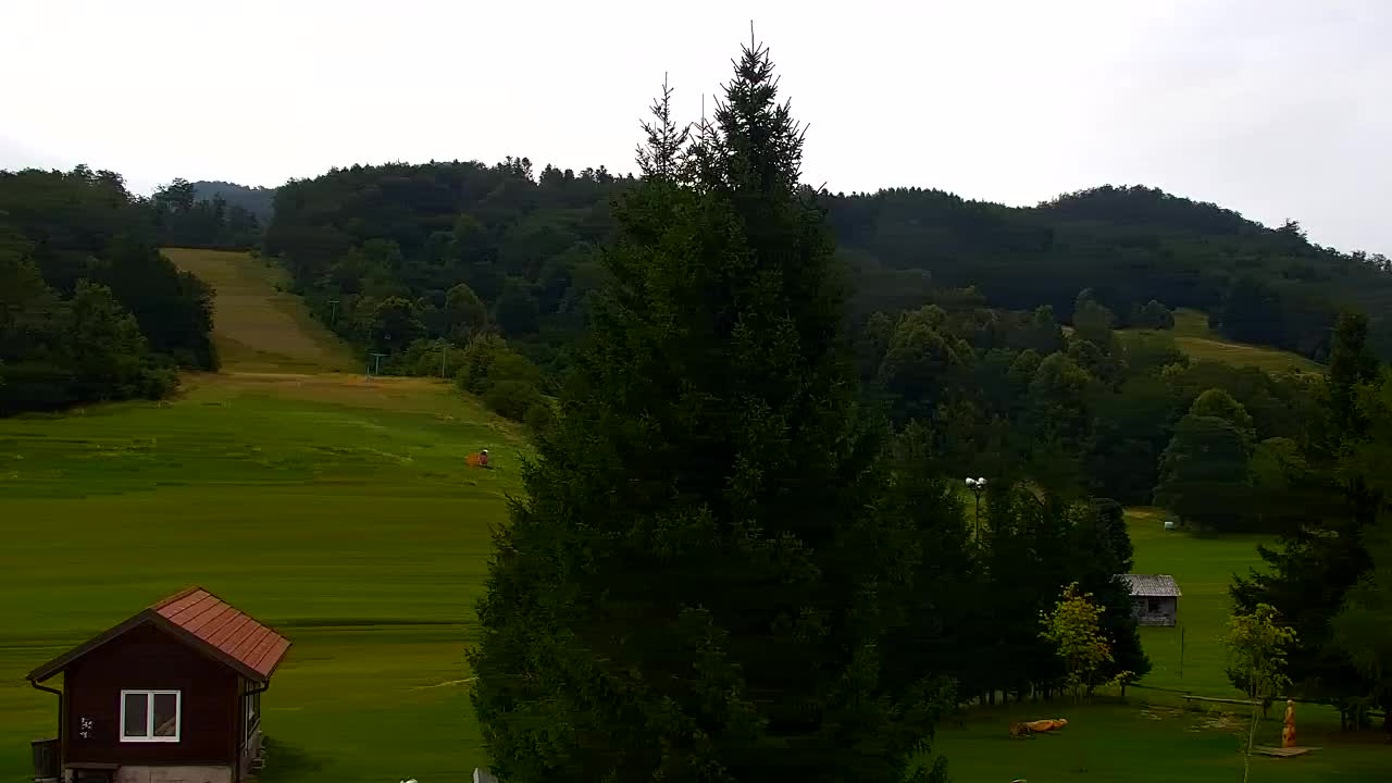 Webcam Lokve – The beauty of the Trnovo forest