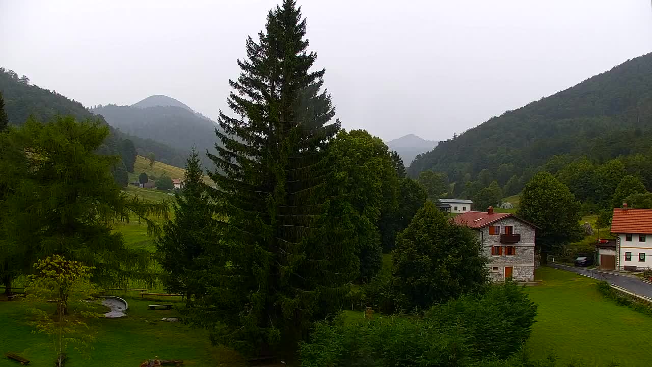 Webcam Lokve – Die Schönheit des Trnovo-Waldes