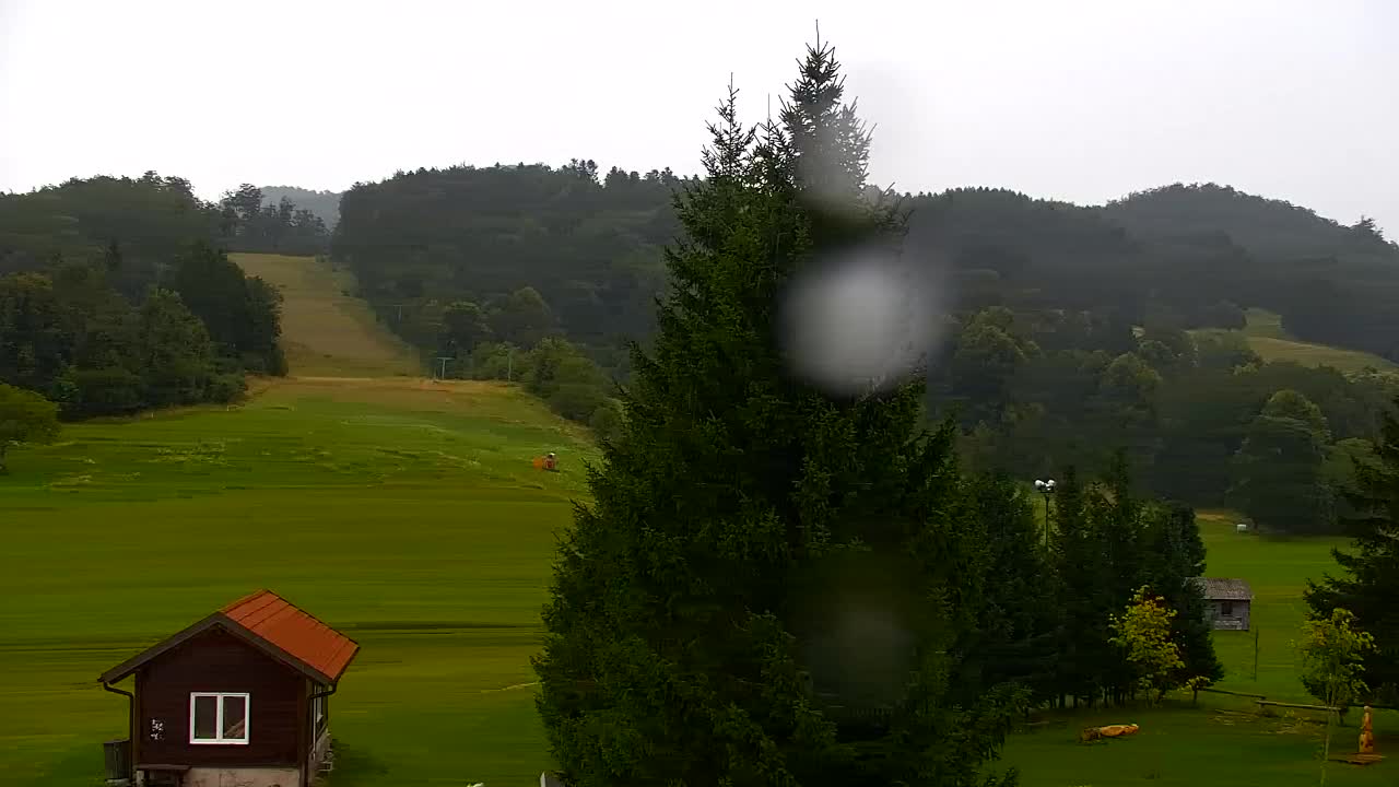 Webcam Loqua / Lokve – La bellezza della selva di Tarnova