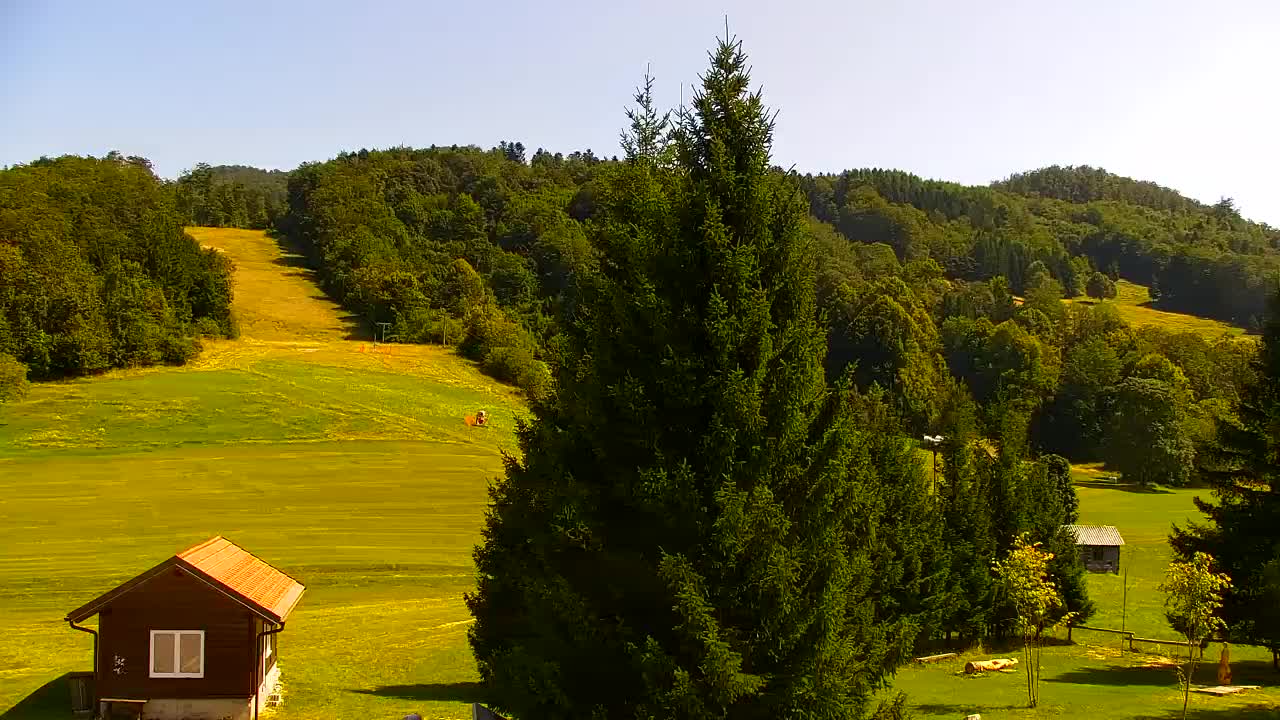 Webcam Lokve – The beauty of the Trnovo forest