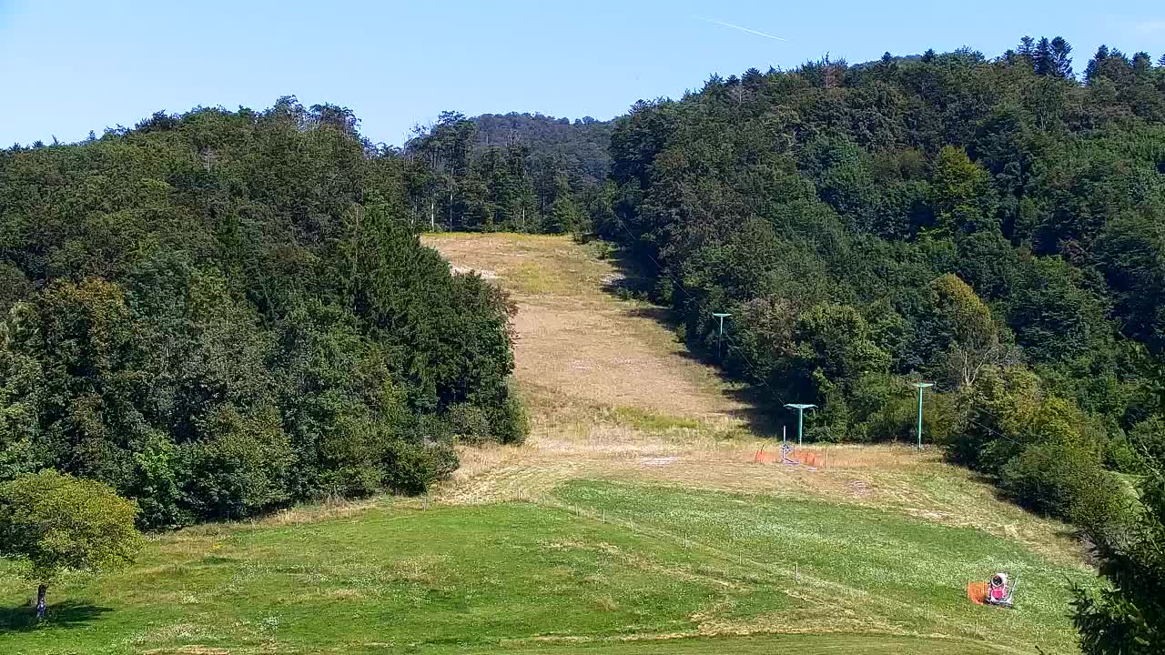 Webcam Loqua / Lokve – La bellezza della selva di Tarnova