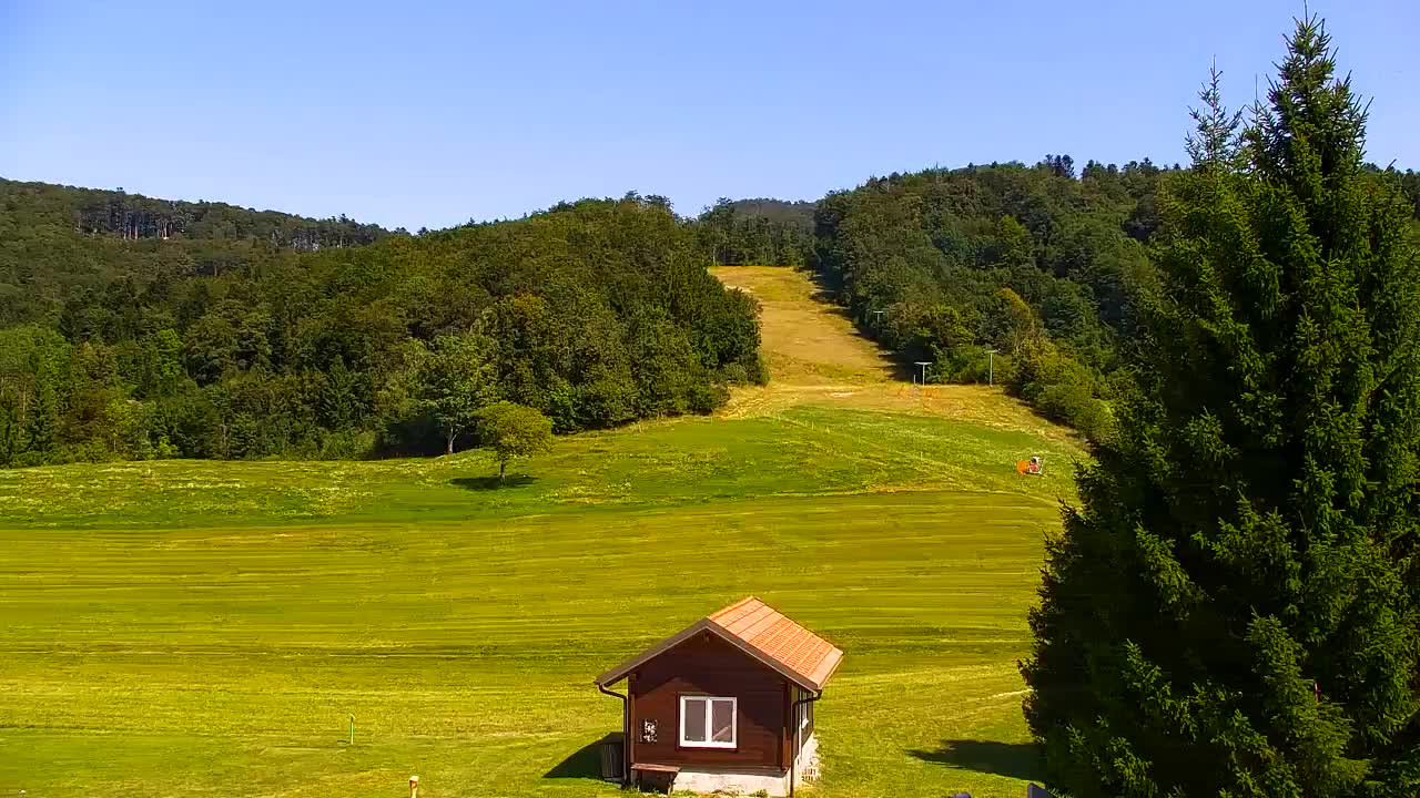 Webcam Loqua / Lokve – La bellezza della selva di Tarnova