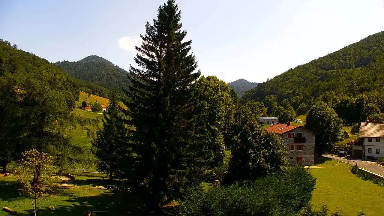 Webcam Loqua / Lokve – La bellezza della selva di Tarnova