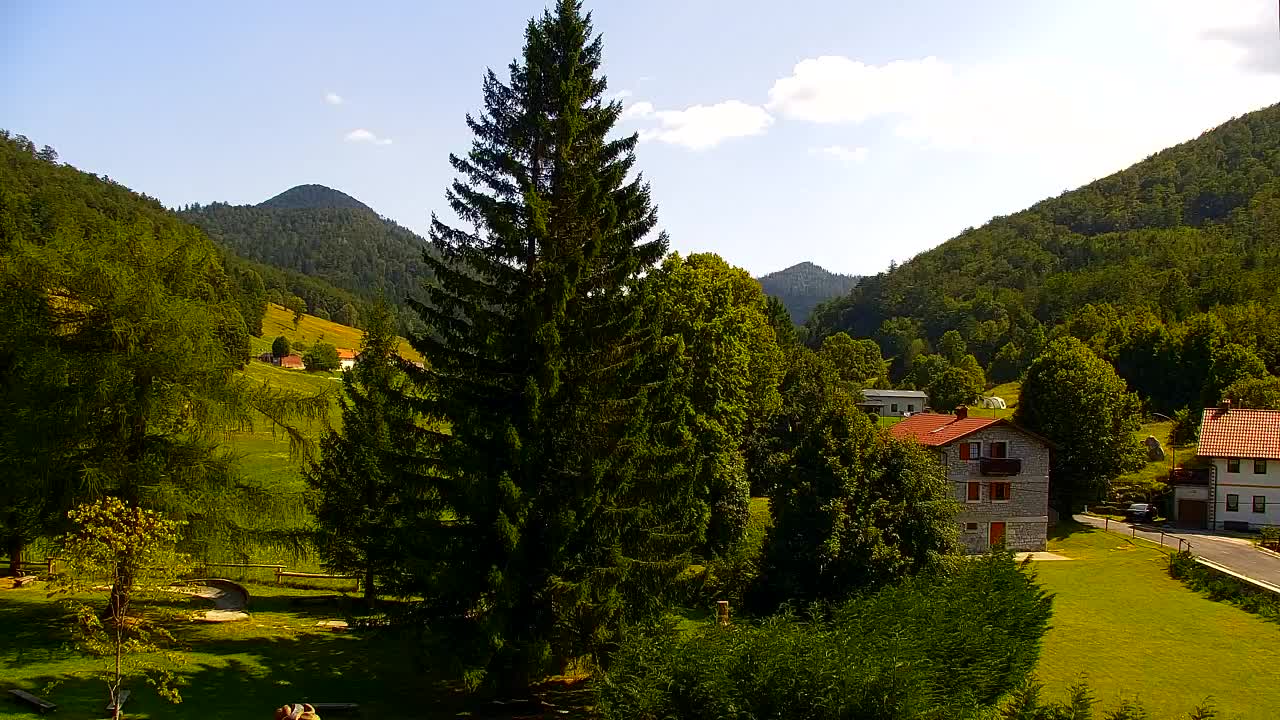 Camera en vivo Lokve – La belleza del bosque de Trnovo